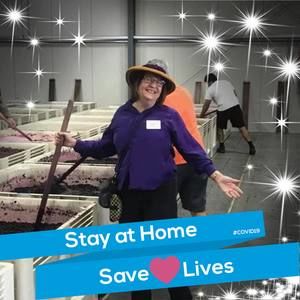 Meet your Posher, Bambi